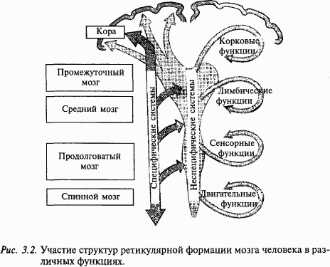 купить компрессионные колготки в витебске